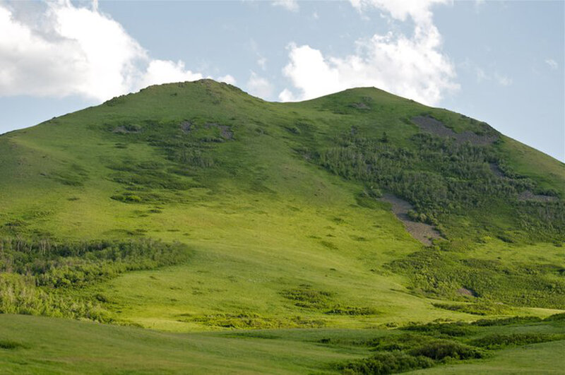 Green Mountain Slope — Serene, Afternoon