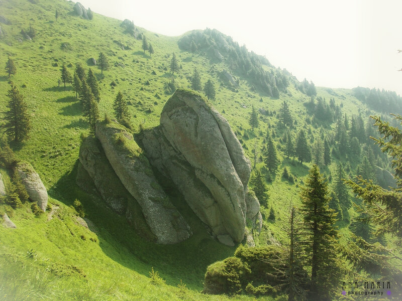 Green Mountain Slope — Serene, Morning