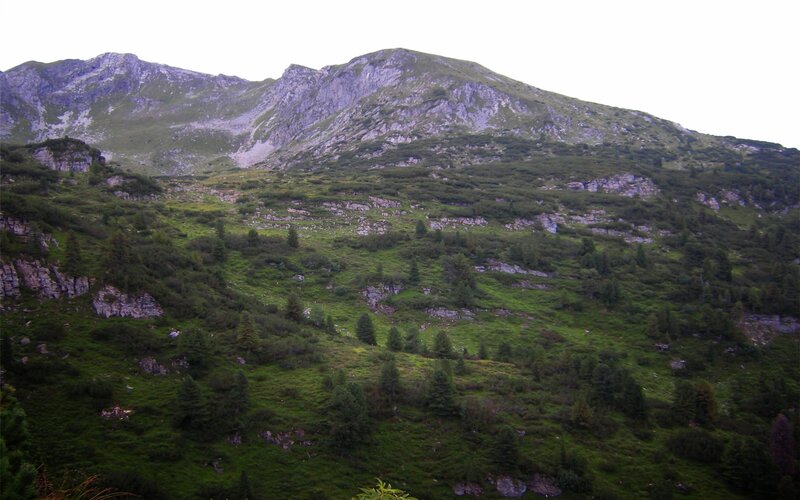 Green Mountain Slope — Serene, Photograph