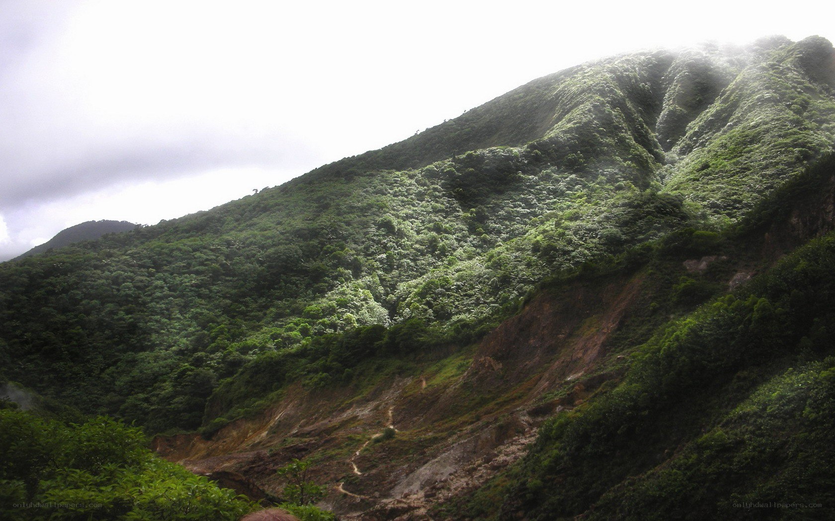 green mountain slope with landslide