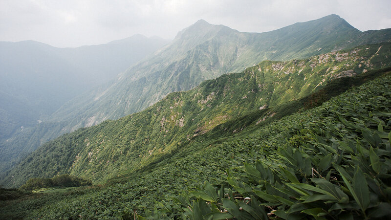 Green Mountain Slopes — Serene
