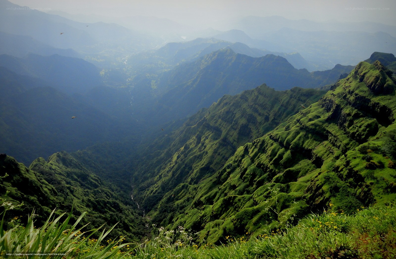 Green mountain valley landscape