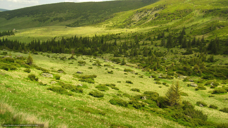 Green mountain valley landscape