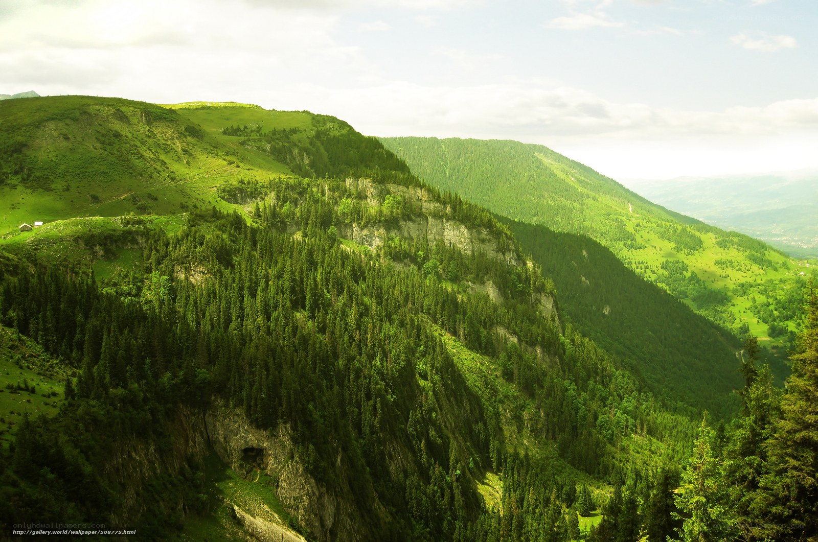 Green mountain valley landscape