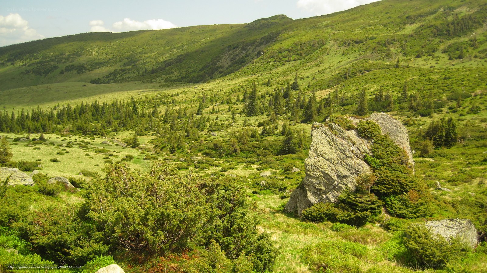 Green mountain valley landscape