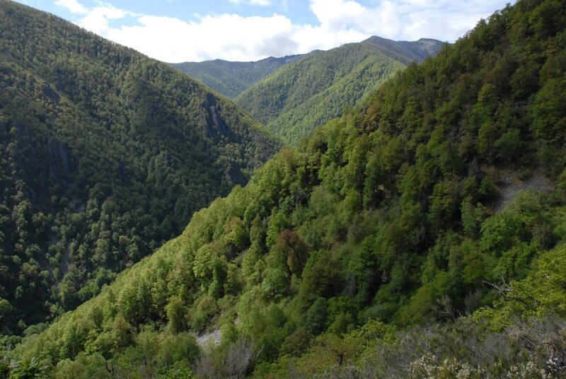 Green mountain valley landscape