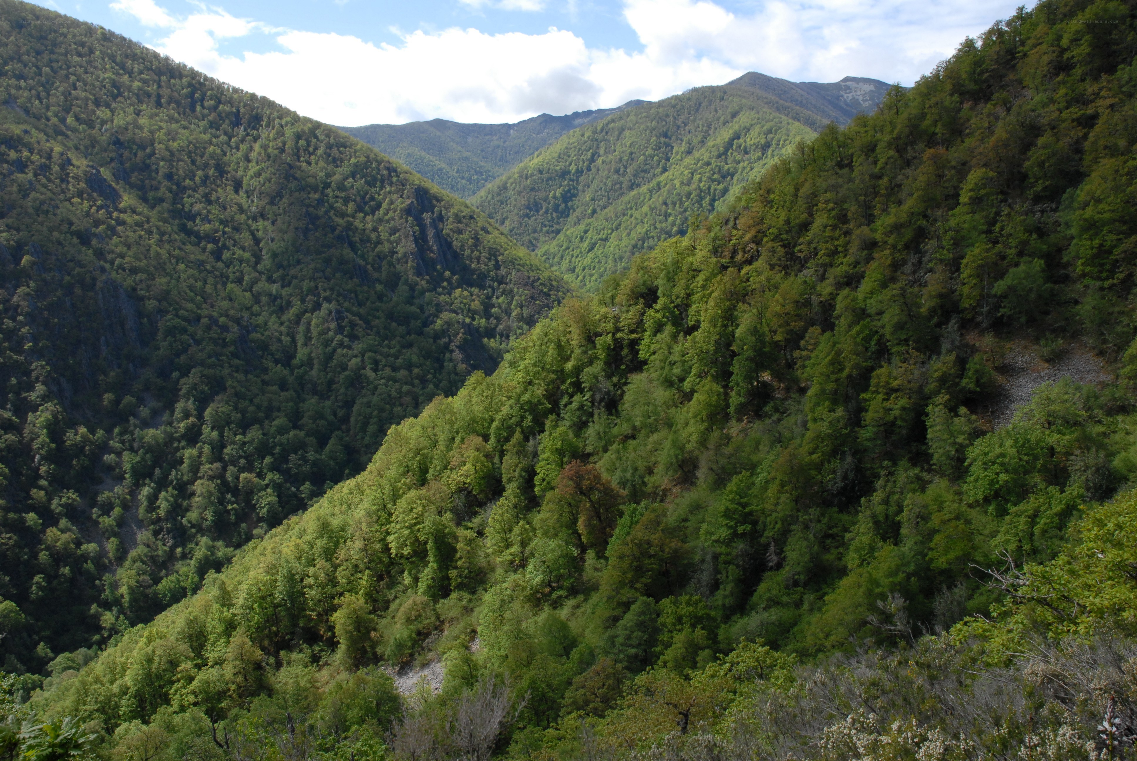 Green mountain valley landscape