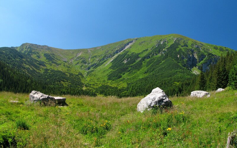 Green mountain valley landscape