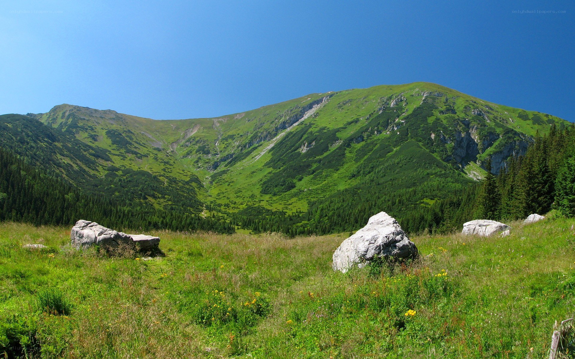 Green mountain valley landscape