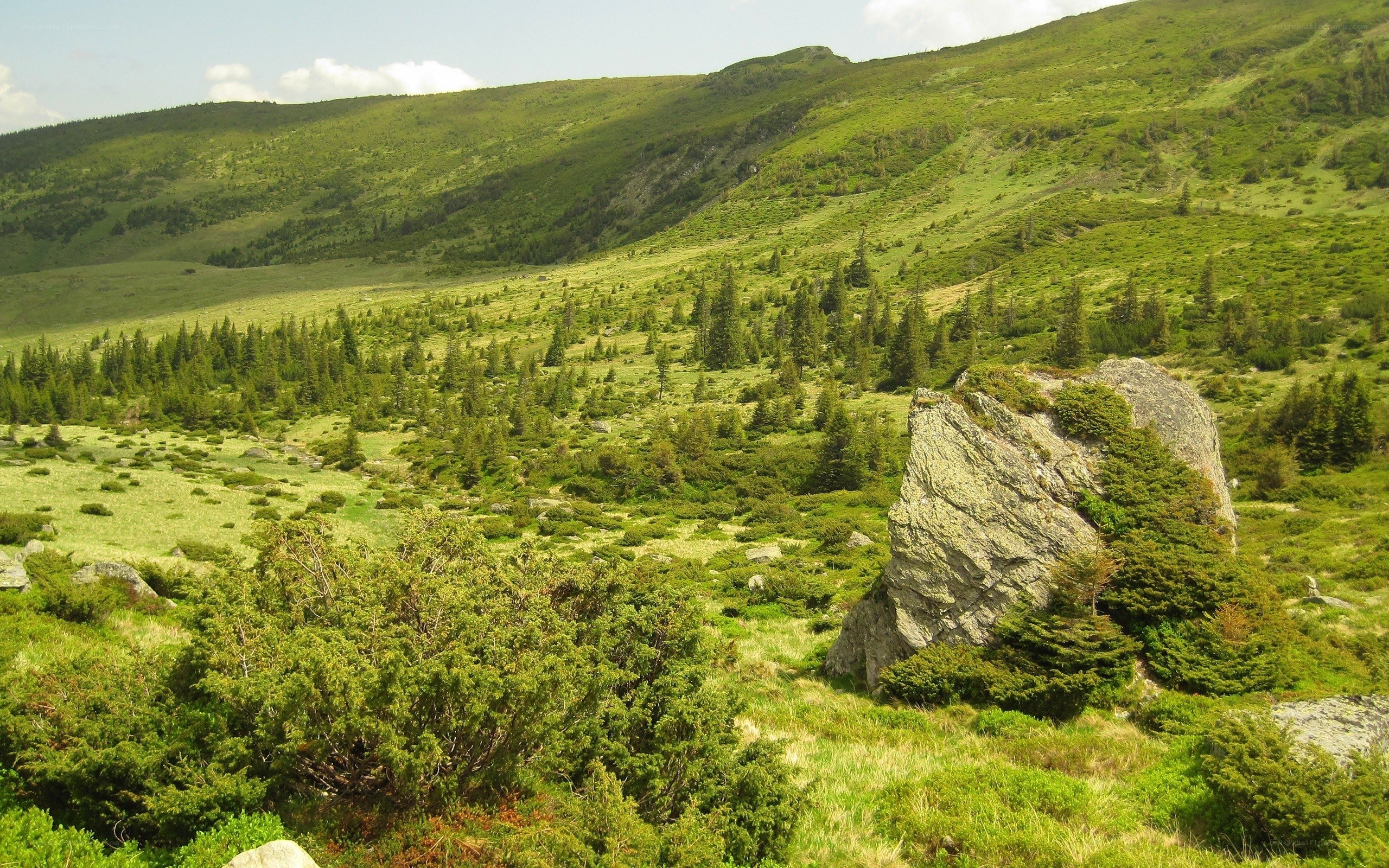 Green mountain valley landscape