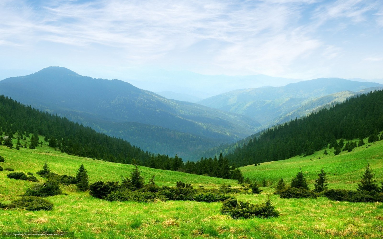 Green mountain valley landscape