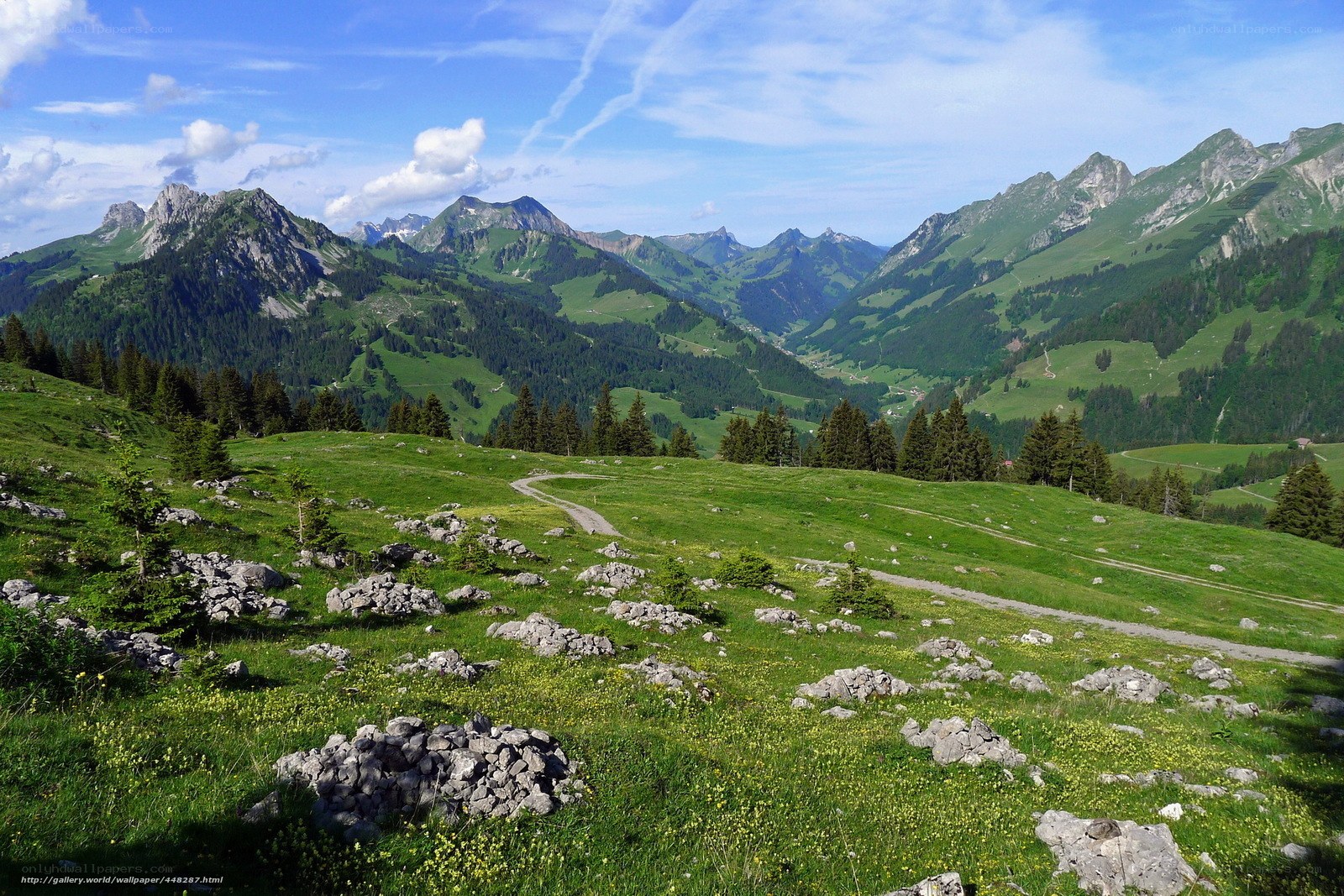 Green mountain valley landscape