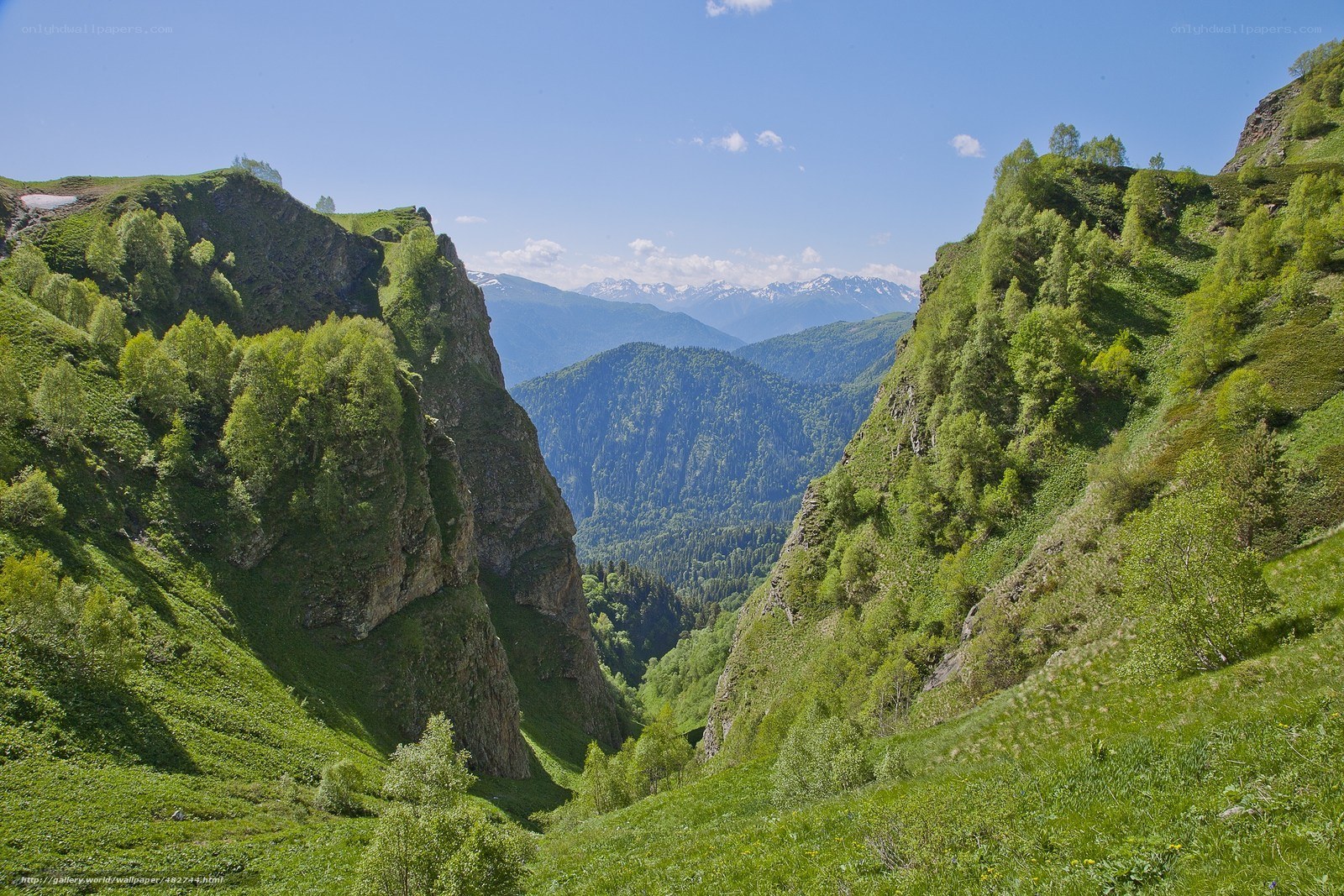 Green mountain valley landscape
