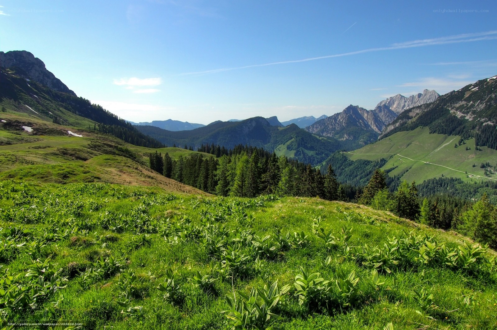 Green mountain valley landscape