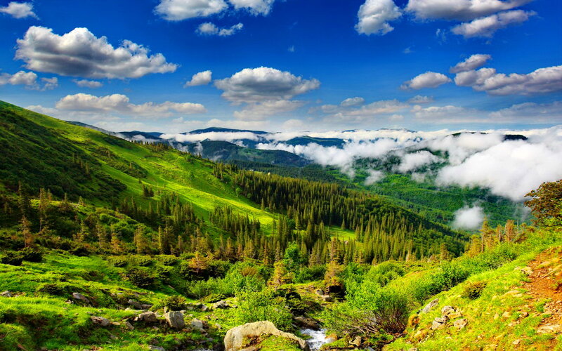 Green Mountain Valley — Serene, Afternoon, Photograph, Clouds, Forest