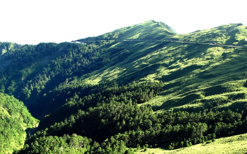 Green Mountain Valley — Serene, Afternoon, Photograph, Forest