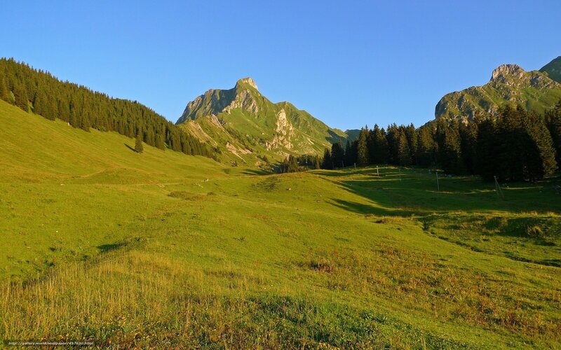 Green Mountain Valley — Serene, Morning, Photograph