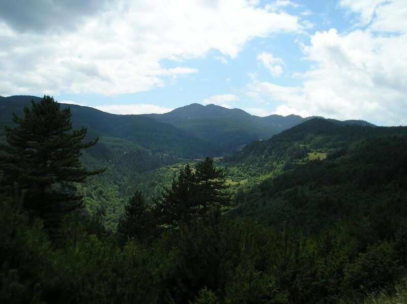 Green Mountain Valley
