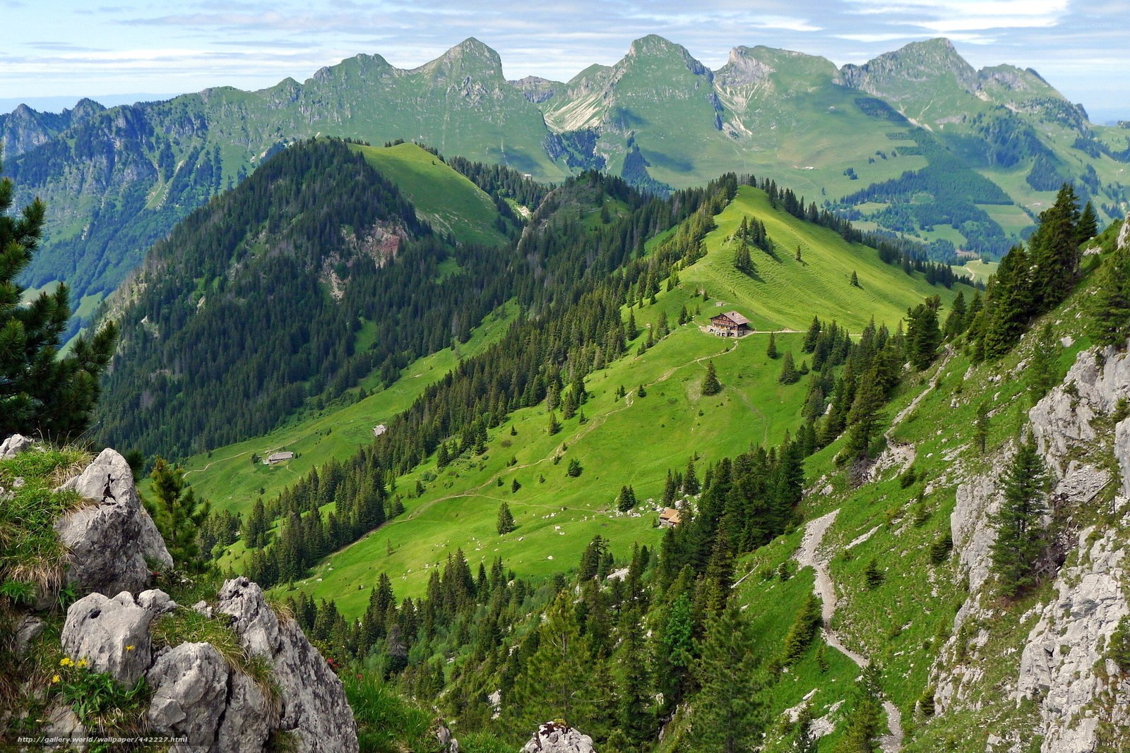 Green mountain valley with alpine huts