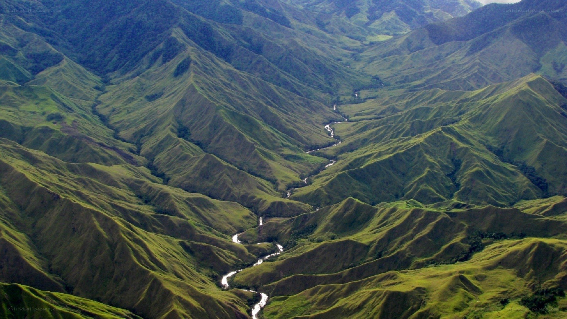 Green mountain valley with river