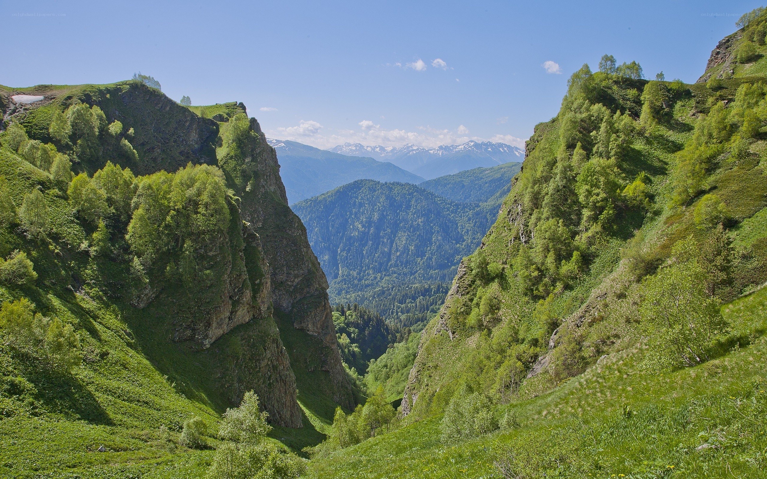 Green mountain valley with snow-capped peaks