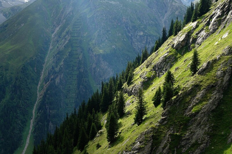Green mountain valley with trees
