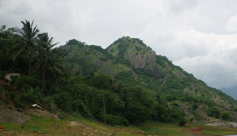 Green mountain with palm trees