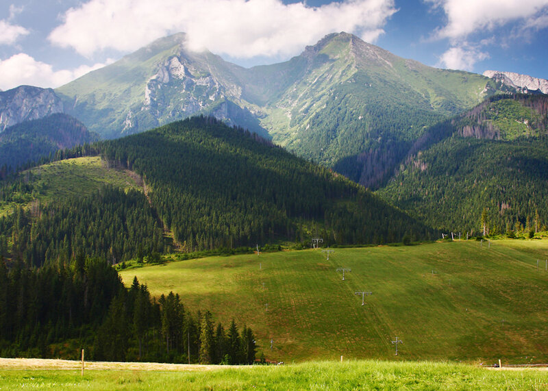 Green Mountains and Forest — Serene