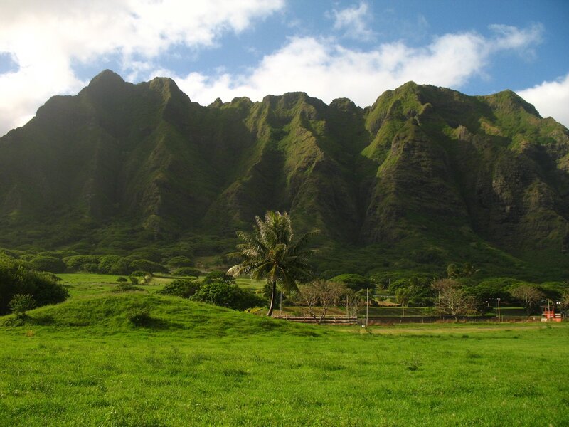 Green Mountains and Grass
