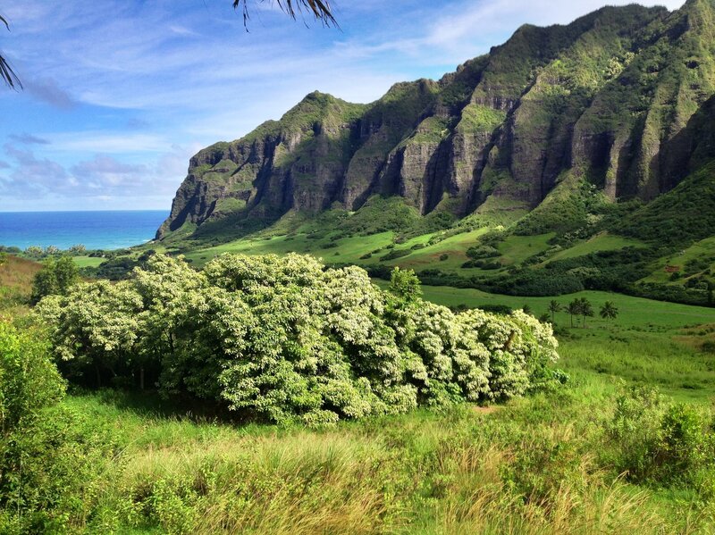 Green Mountains and Ocean — Serene, Afternoon