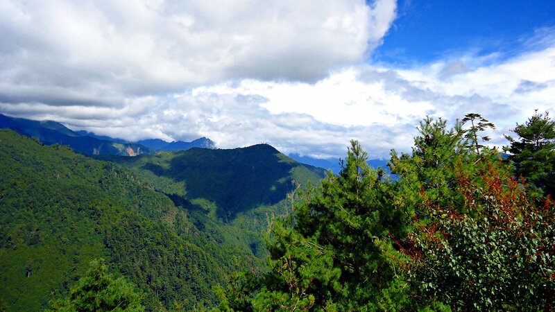 Green Mountains and Trees