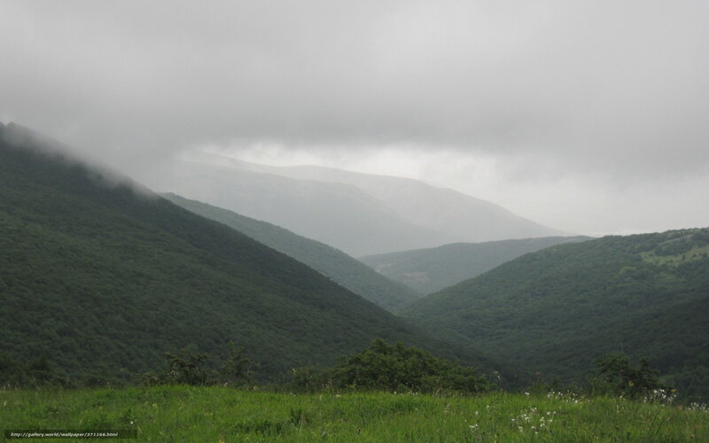 Green Mountains in Fog — Misty