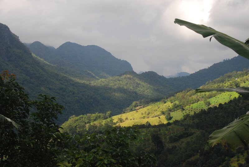 Green Mountains Landscape — Serene, Afternoon, Photograph