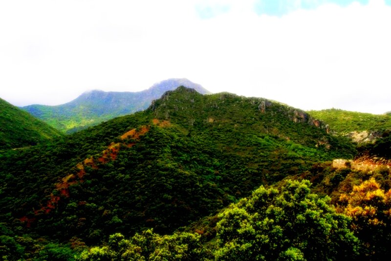 Green Mountains Landscape — Serene