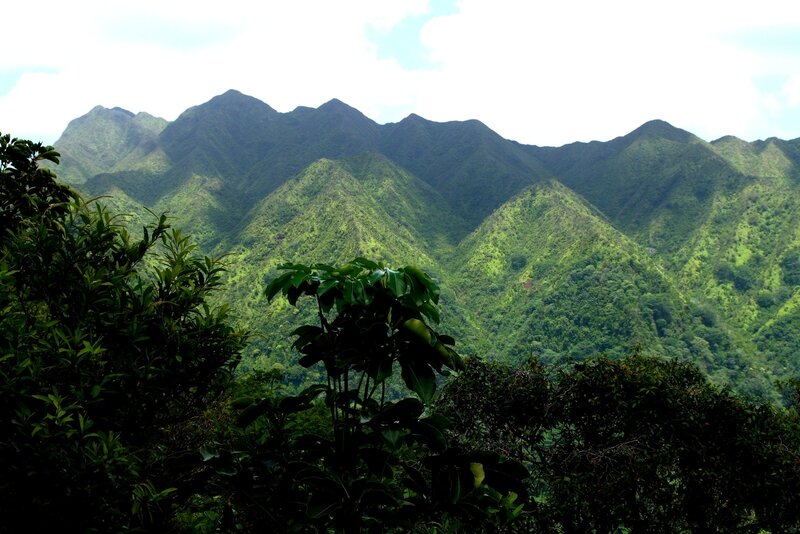 green mountains landscape