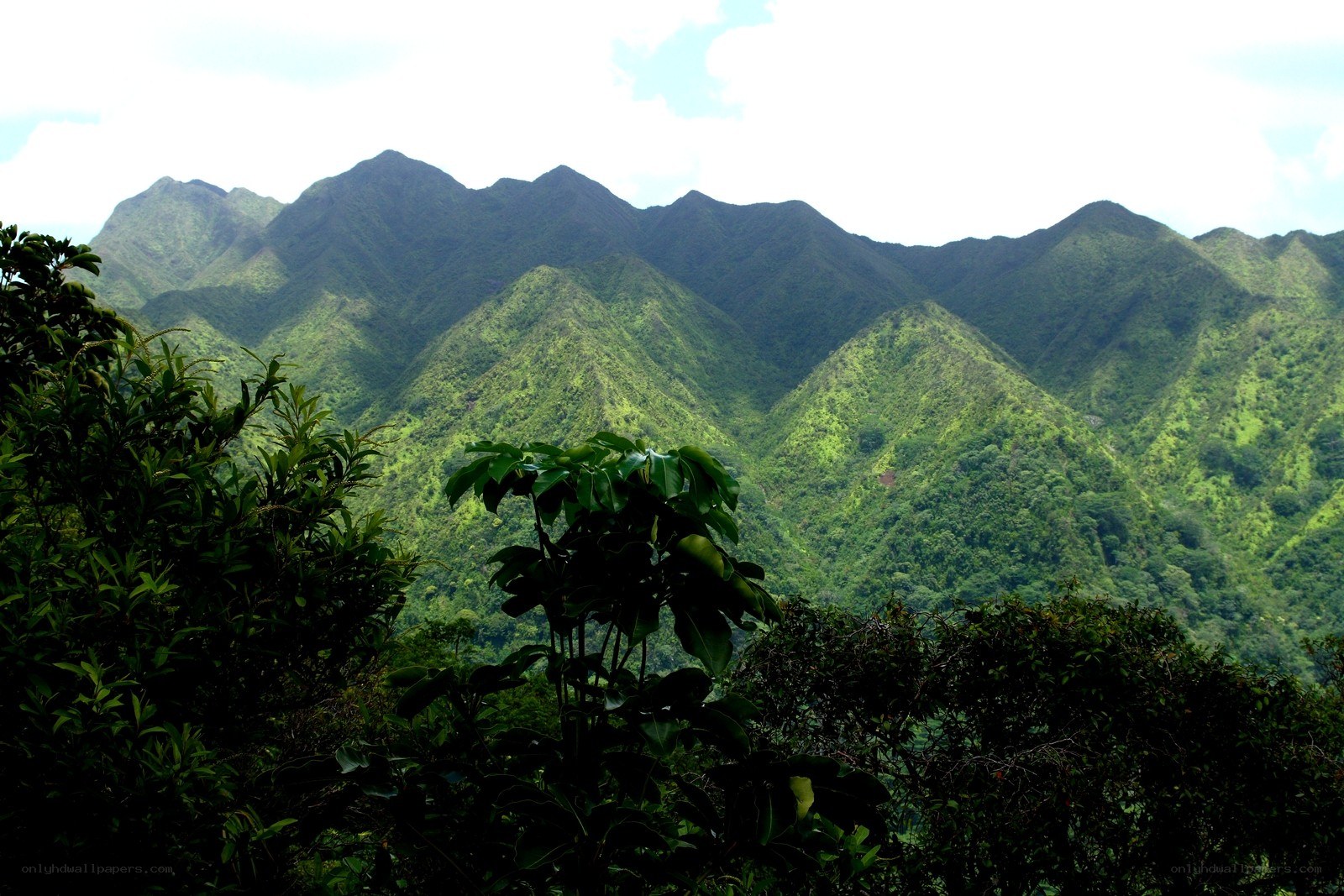 green mountains landscape
