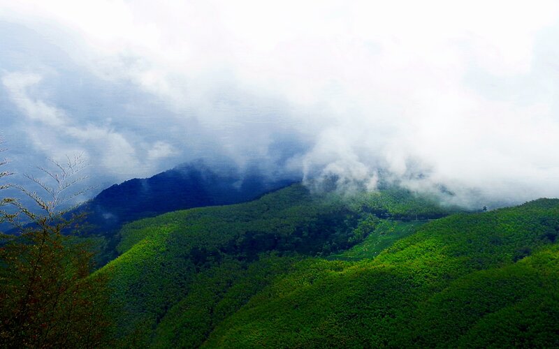 Green mountains shrouded in mist