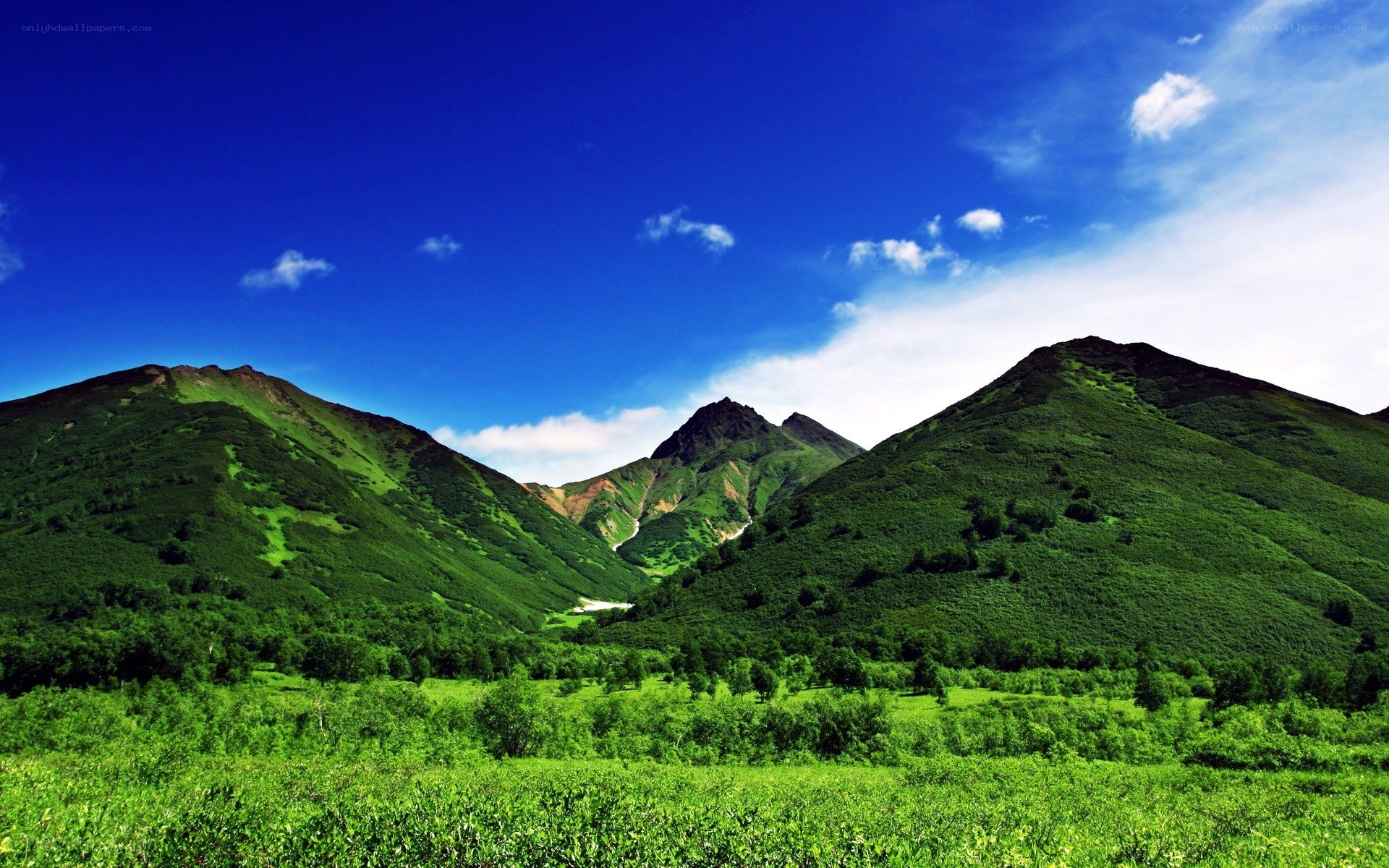 Green mountains under blue sky
