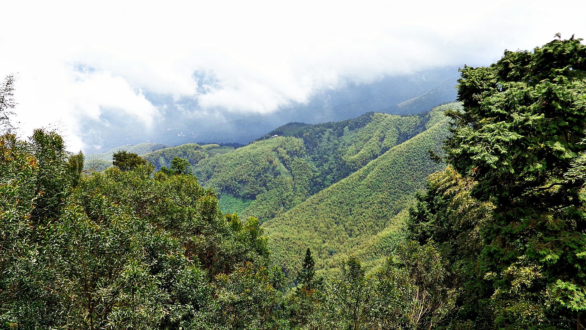 green mountains under cloudy sky