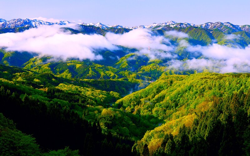 Green Mountains with Clouds — Serene, Morning