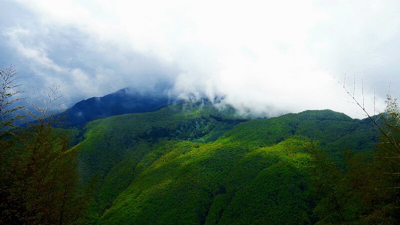 Green Mountains with Clouds — Serene, Photograph, Trees