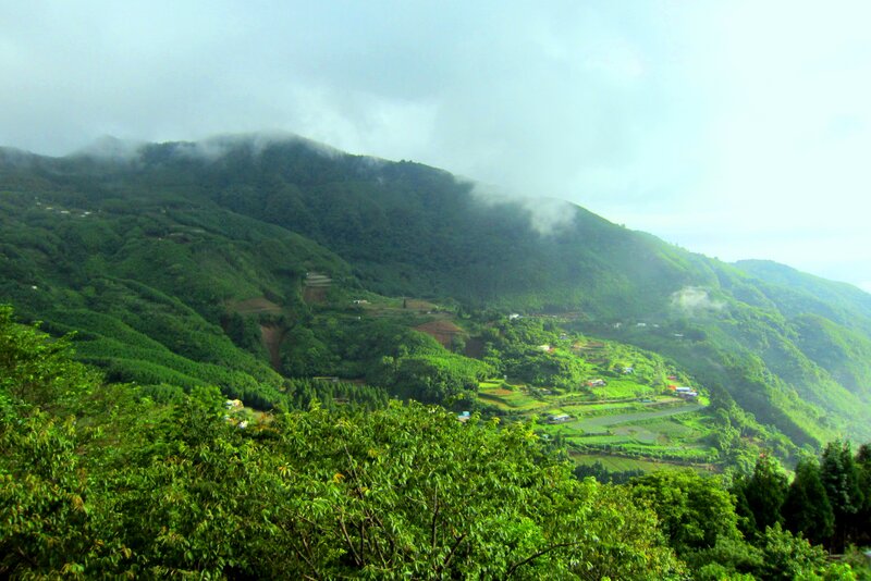 Green Mountains with Mist