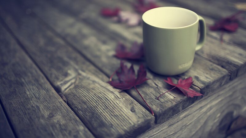 Green Mug on Wood — Gray