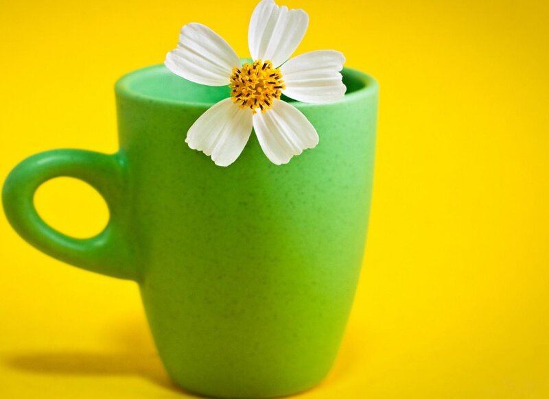 Green Mug with Flower — Bright