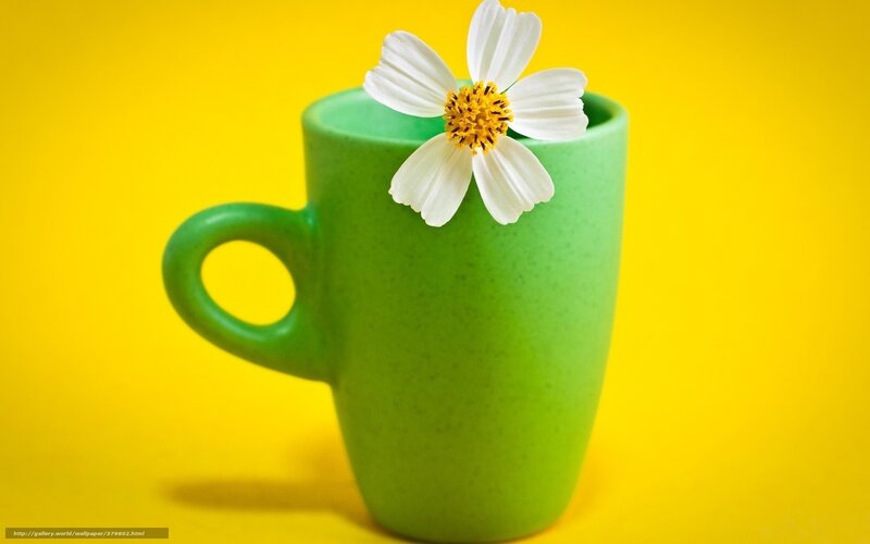Green Mug with Flower — Calm