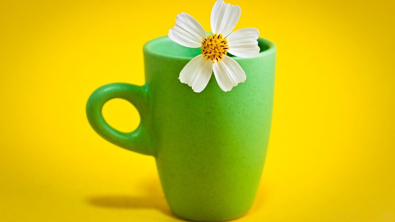Green Mug with Flower