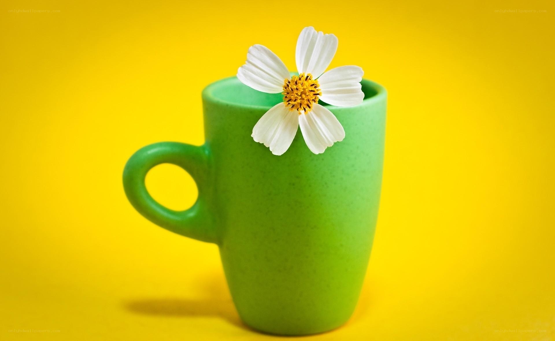 green mug with white flower