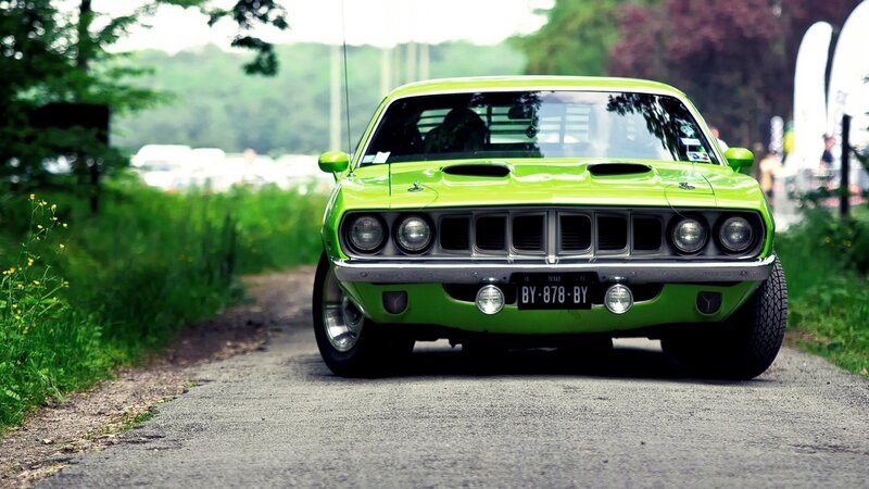 Green Muscle Car — Calm, Afternoon, Photograph, Road, Trees, Grass