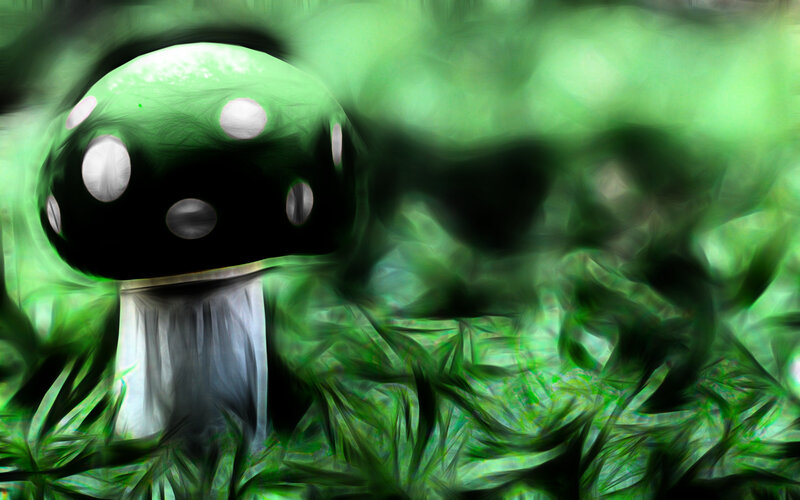 green mushroom in forest