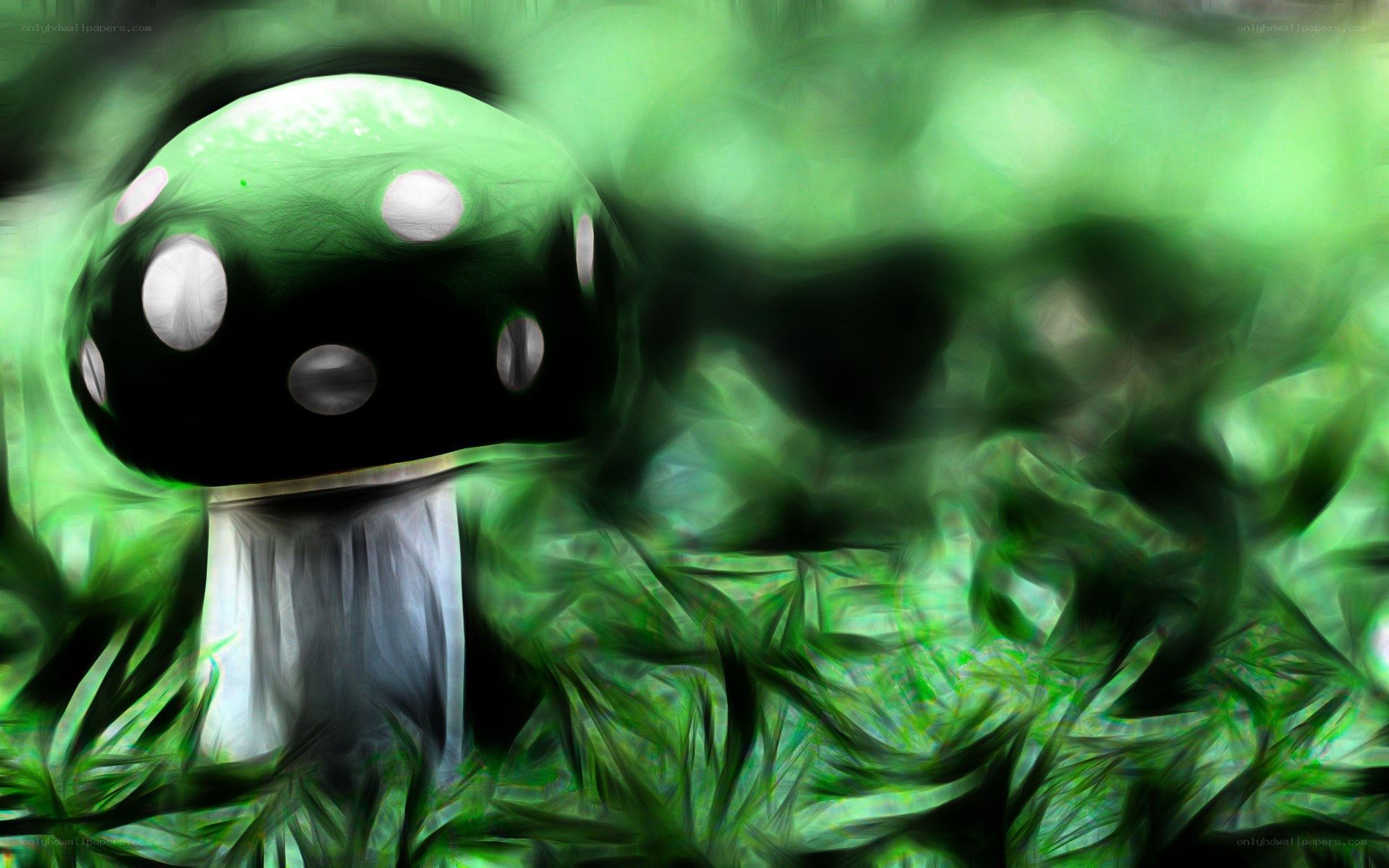 green mushroom in forest